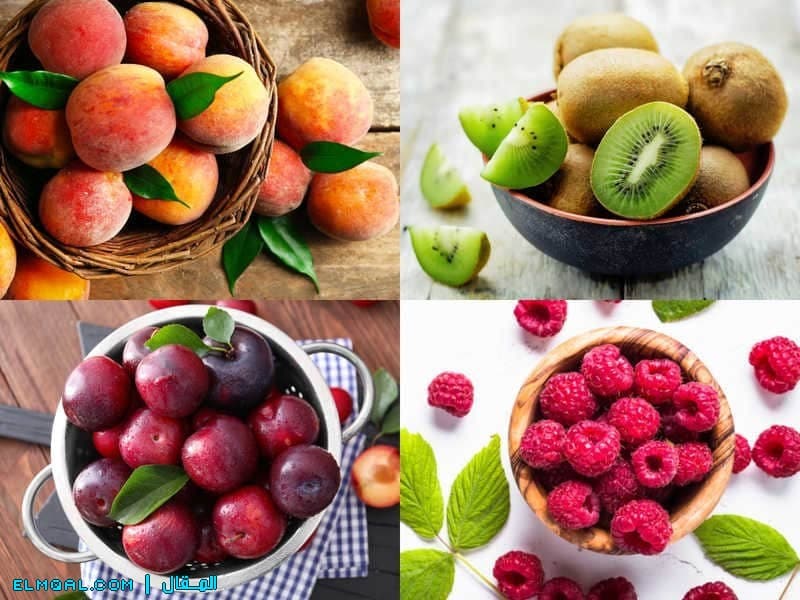 الفاكهة المحرمة ماهي «الغيبة» الفاكهة