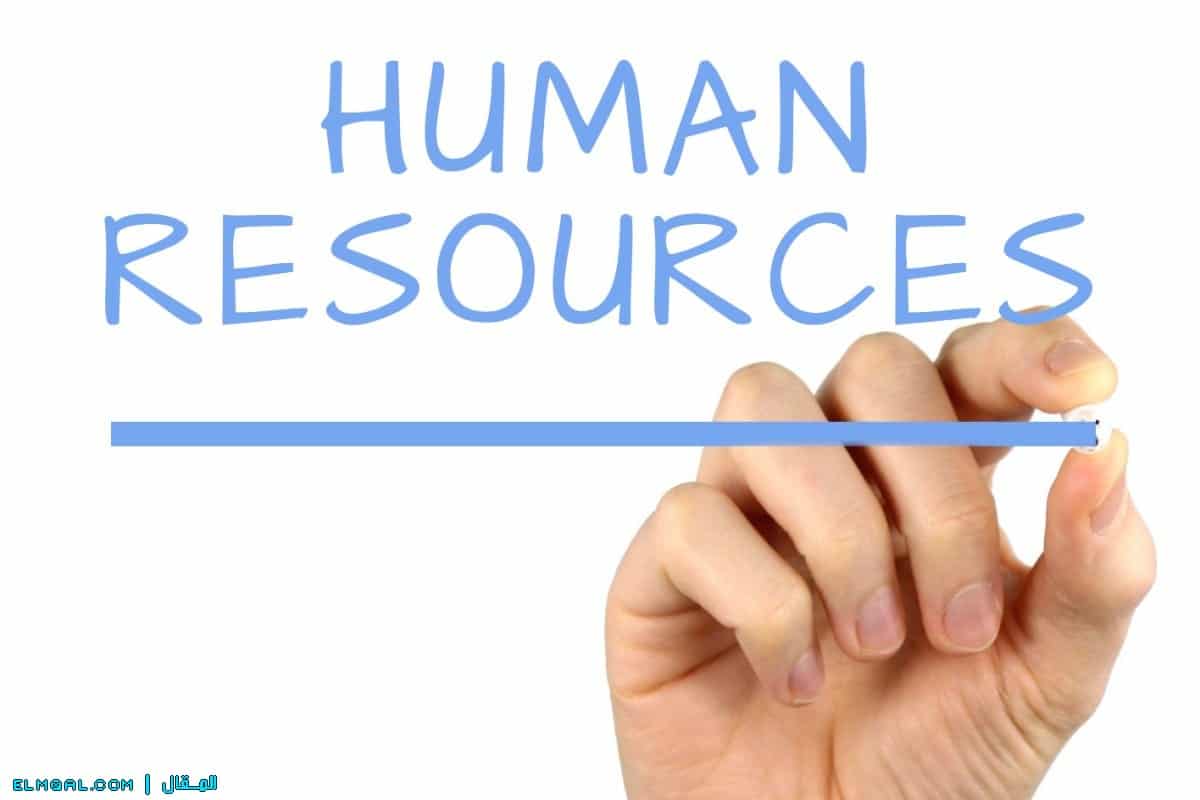 تعرف على الموارد البشرية وأهميتها وأهمية HR Manager