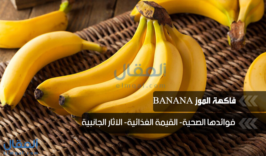 فوائد الموز الفاكهة التي تعطيك كل ما تحتاجه لصحتك تعرف على فوائد الموز وآثاره الجانبية