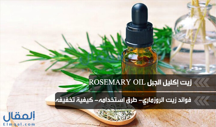 زيت الروزماري Rosemary oil يتميز برائحته العطرة وفوائده المتعددة