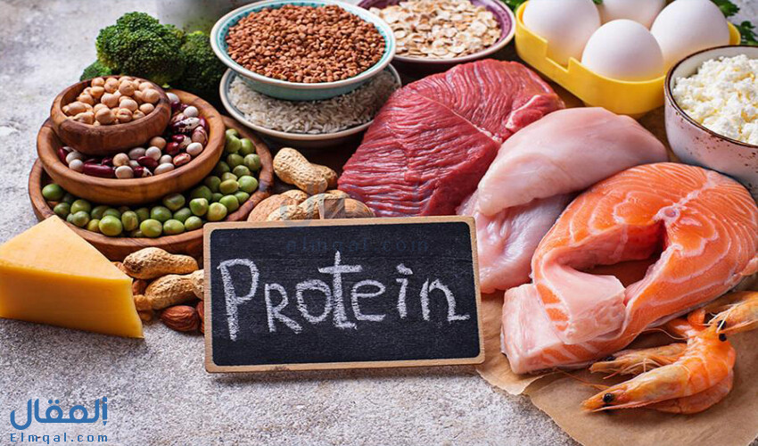يصب الممر انتهت صلاحيته  انواع البروتينات الثلاث الرئيسية وأهم مصادره الغذائية وأفضل الأطعمة الغنية  به