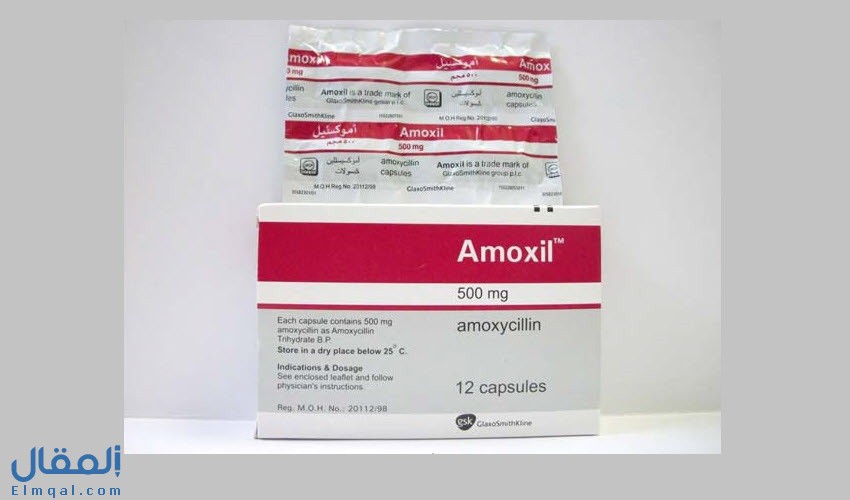 اموكسيل Amoxil مضاد حيوي واسع المدى لعلاج الالتهاب الرئوي وجرثومة المعدة