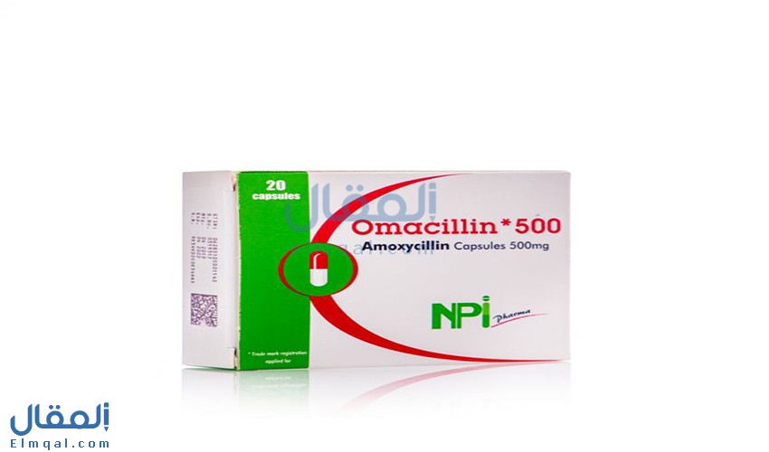 اوماسيلين كبسولات 500 Omacillin اموكسيسيلين مضاد حيوي للأسنان واسع المدى