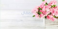 زهرة عطرها دواء للنفس والروح.. زهرة القرنفل Carnation