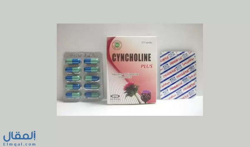 سينكولين بلس كبسول Cyncholine Plus مدعم للكبد ومحسن للهضم