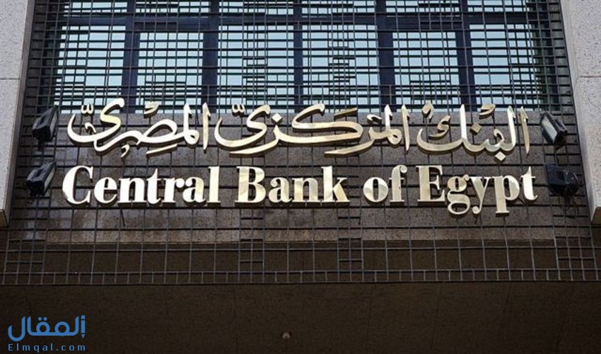 البنك المركزي المصري يوافق على لوائح الدفع الفوري