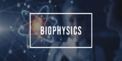ما هو تخصص الفيزياء الحيوية Biophysics ومجالات العمل المتاحه لخريجيه؟