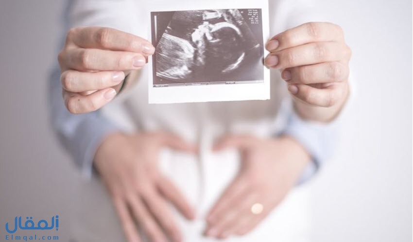 الحمل في الشهور الأولى ماذا يحدث للحامل والجنين؟ نصائح وتحذيرات في بداية الحمل