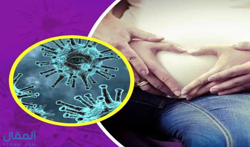 تقوية مناعة الحامل ضد كورونا