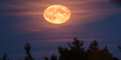 ما الذي يجعل القمر يبدو برتقالي؟