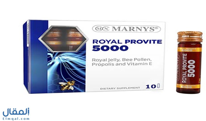 رويال بروفيت 5000 ROYAL PROVIT أمبولات شراب مقوي ومنشط عام